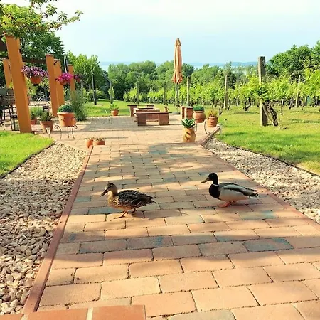 Apartment Linczi Haz Csopak