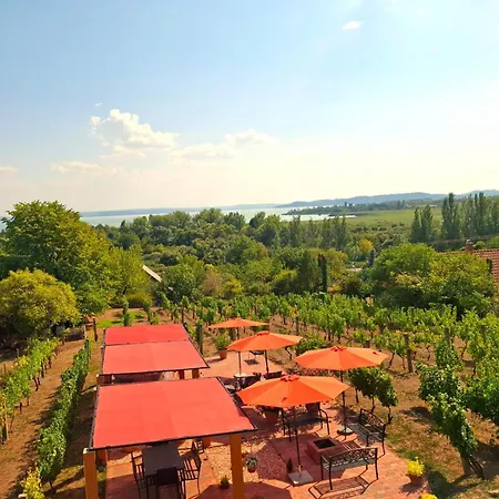 Linczi Haz Apartment Csopak