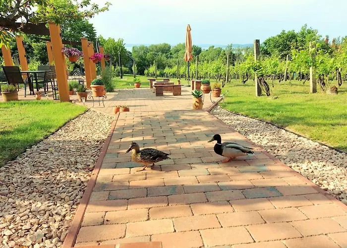 Appartement Linczi Haz Csopak