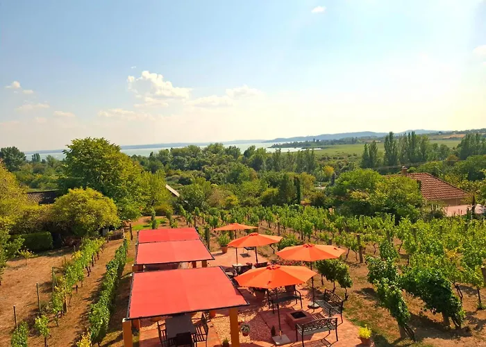 Linczi Haz Appartement Csopak